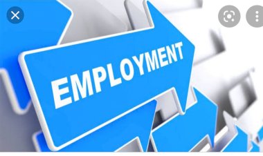 जिला सिरमौर के 12 वीं पास युवा डिग्री सहित नौकरी हेतू करवाए पंजीकरण