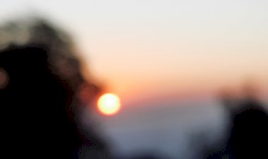 प्राकृतिक खेती अपनाकर खुशहाल हो रहे सिरमौर के किसान व बागवान