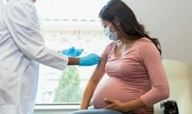 हिमाचल में एनीमिया के साथ कुपोषण की शिकार है 13,335 गर्भवती महिलाएं , एनएचएम के सर्वे में हुआ खुलासा