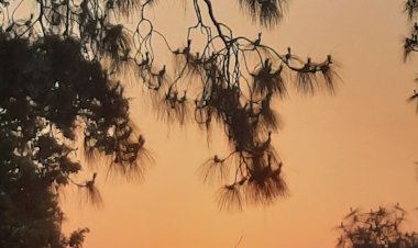 नाहन में अंतर्राष्ट्रीय नशा निवारण दिवस पर मैराथन का किया आयोजन