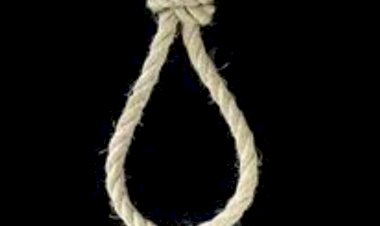 शिलाई के व्यक्ति ने पेड़ से फंदा लगाकर किया सुसाइड  जाँच में जुटी पुलिस