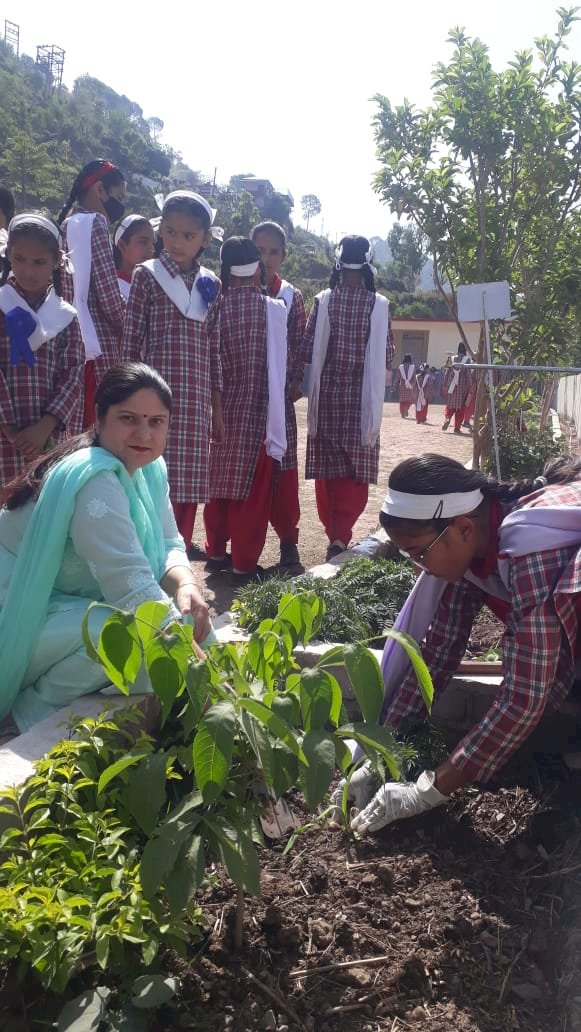 पर्यावरण दिवस पर पौधारोपण किया
