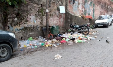 डोर- टू -डोर गारेबज स्कीम को लग रहा है झटका ...... शहर में पढ़े लिखे लोग भी खुले में कचरा फेंकना में पीछे नहीं है