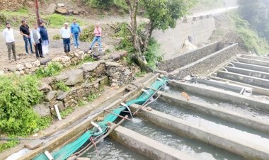 नोहराधार में ट्राउट फिश फार्म का निरीक्षण कर कृषि मंत्री वीरेंद्र कंवर ने बढ़ाया किसानों का हौसला