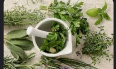 कौशल विकास निगम द्वारा 12 जुलाई को नाहन में स्किल ओरिएंटेशन वर्कशॉप का किया जाएगा आयोजन