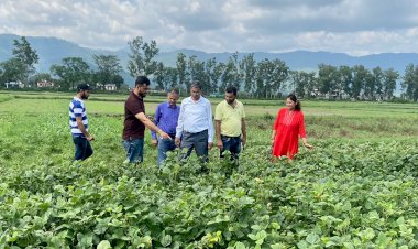 मक्की तथा धान फसल का बीमा करवाने की अन्तिम तिथि 15 जुलाई - राम कुमार गौतम