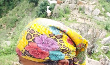 क्यारी गुण्डाह में महिला पर डंडों से हमला करने वाले आरोपी के खिलाफ एट्रोसिटी एक्ट व दूसरी धाराओं में मामला दर्ज