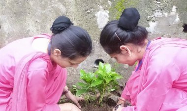 शिमला नर्सिंग कॉलेज शुराला  ने वृक्षारोपण  का आयोजन किया।