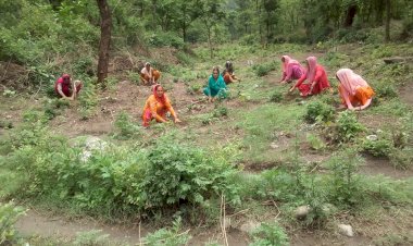 डबल इंजन सरकार की कल्याणकारी योजनाओं ने बदली हिमाचल की तस्वीर