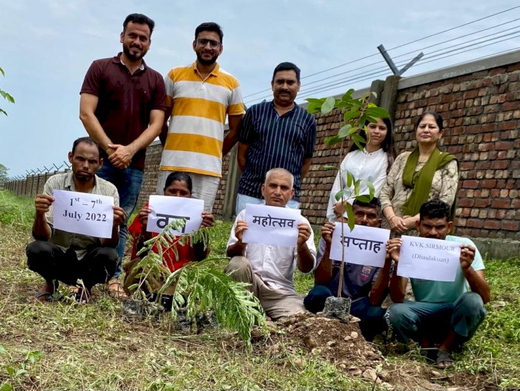 महोत्सव सप्ताह के अंतर्गत औषधीय एवं फलदार पोधौं का रोपण किया