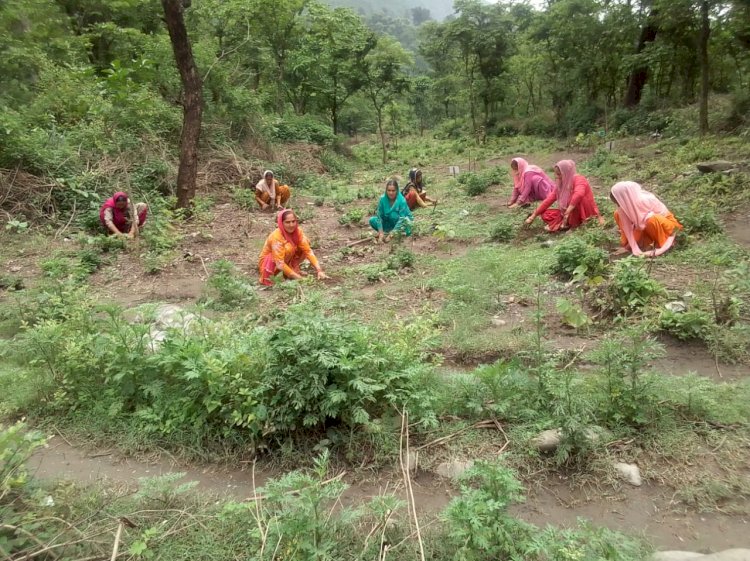 डबल इंजन सरकार की कल्याणकारी योजनाओं ने बदली हिमाचल की तस्वीर