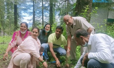 वृक्षारोपण भी मृदा संरक्षण के लिए अच्छा है। खन्ना