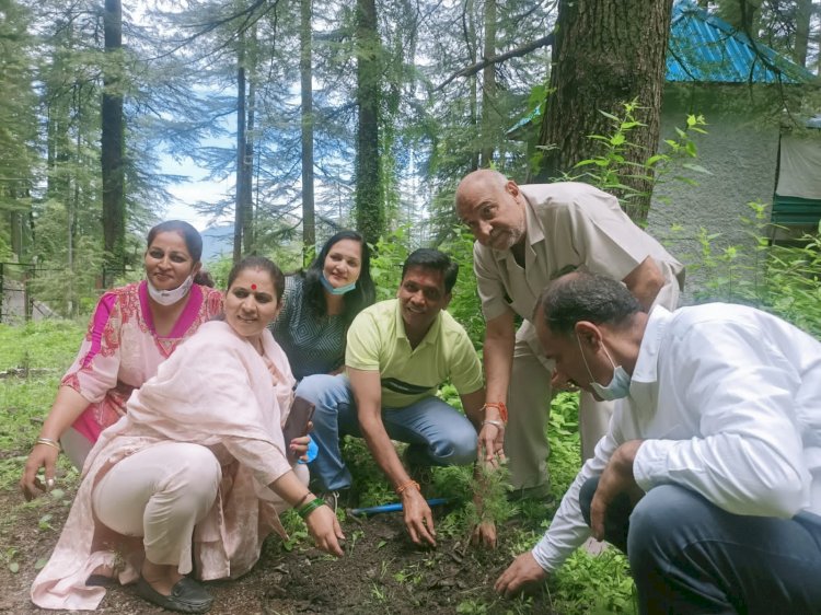 वृक्षारोपण भी मृदा संरक्षण के लिए अच्छा है। खन्ना
