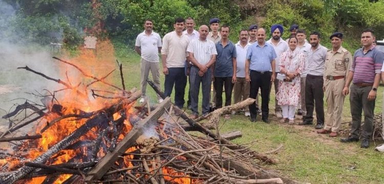 38 मामलों में जब्त नशीले पदार्थों की भारी खेप नष्ट की - एसपी की अध्यक्षता में गठित कमेटी ने कारवाई की