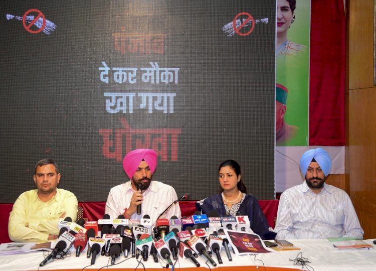 पंजाब देकर मौका, खा गया धोखा, हिमाचल के लोग आप के झांसे में न आएं बीजेपी की बी टीम आम आदमी पार्टी पर भरोसा कर अपना वोट न करें खराबः ढिल्लों