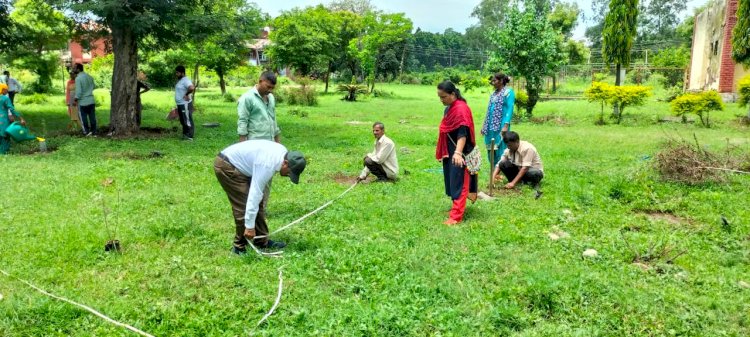 लम्पी चमड़ी रोग की रोकथाम व जागरूकता के लिए विभिन्न स्तरों पर सशक्त प्रयास