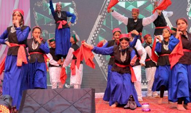 म्यूजिकल नाईट में कलाकारों ने मचाया धमाल