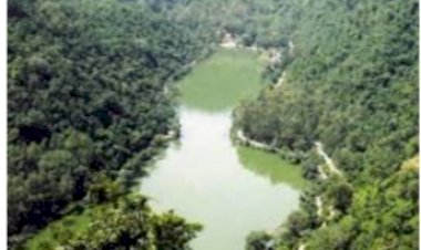 श्री रेणुकाजी उत्सव-2022 मंे लाईट एवं साउण्ड के लिये आवेदन आमंत्रित