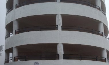 उत्पाती बंदर नोच रहे हैबहुमंजिला पार्किंग में खड़ी गाडियों को