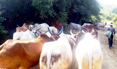 न हो सड़क हादसे इसलिए समाज सेवी ने भी की थी भूख हड़ताल , अब प्रदीप चौहान ने प्रशासन को घेरा