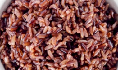 : अंतरराष्ट्रीय व्यापार मेले में बढ़ी हिमाचल के लाल चावल की मांग, व्यापार मेले में जमकर खरीददारी कर रहे लोग