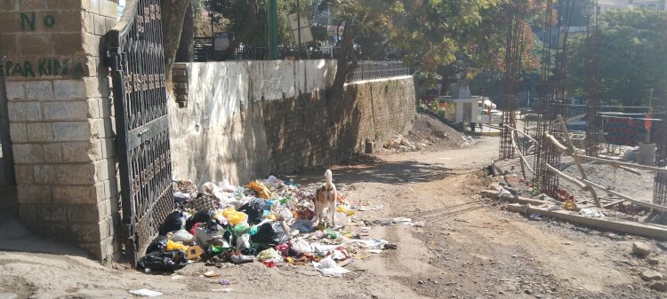 शहर के सड़कों के किनारे डाला जा रहा खुले में कचरा   -नगर परिषद के अपने सफ ाई कर्मचारी पीछे नही