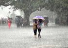 साहिब की महिमा अपार      व्यंग्य : प्रभात कुमार