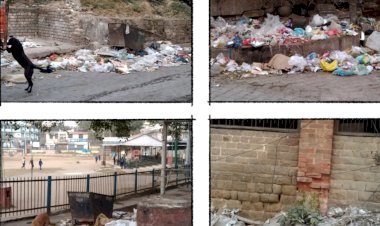 दावे बड़े-बड़े और चालान एक भी नहीं.....  -डोर-टू-डोर गारबेज कलेक्शन स्कीम पटरी से उतरी