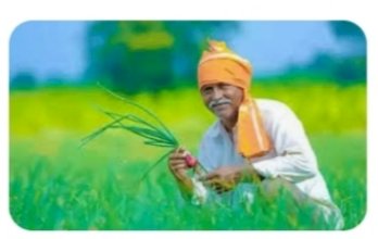 हिमाचल किसान सभा देशव्यापी किसान आन्दोलन में  निभाएंगी सक्रिय भागीदारी