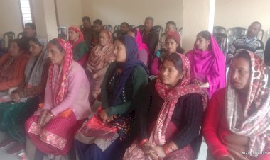 वार्डों में विकास कार्यों की गुणवत्ता की निगरानी रखें ग्रामीण:  संजीव तोमर -वासनी पंचायत में विशेष ग्राम सभा का आयोजन