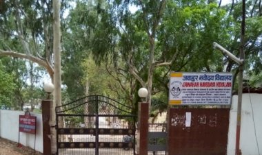 जवाहर नवोदय विद्यालय प्रवेष परीक्षा 29 अप्रैल को आवेदन पत्र भरने की अंतिम तिथि 31 जनवरी