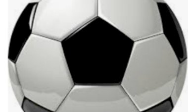 डीसी सिरमौर के खिलाफ  उच्च न्यायालय के आदेशों की अवहेलना करने बारे अवमानना याचिका जल्द