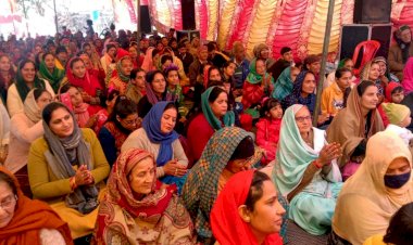 वासनी गांव में श्रीमद्भागवत ज्ञान यज्ञ का आयोजन सैकड़ों श्रद्धालू कर रहे कथा का रसपान