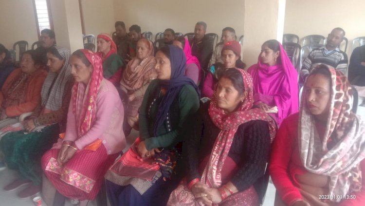 वार्डों में विकास कार्यों की गुणवत्ता की निगरानी रखें ग्रामीण: संजीव तोमर -वासनी पंचायत में विशेष ग्राम सभा का आयोजन