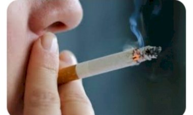 जिला के सभी शैक्षणिक संस्थानों में धूम्रपान निषेध के बोर्ड लगाना करें सुनिश्चित- एडीसी