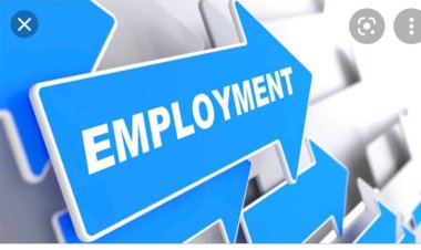 हमीरपुर में जेबीटी बैचवाइज भर्ती के साक्षात्कार 9-10 मार्च को