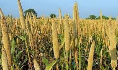 बागवानी मंत्री ने मास्टर ट्रेनरों को प्रमाण-पत्र प्रदान किए