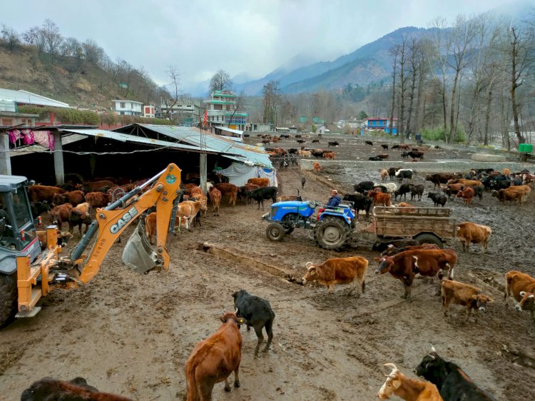 गौसदन कटराईं में सफाई ब्यबस्था पर विशेष ध्यान दे।