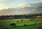 योल कैंट से बाहर हुए सिविल क्षेत्र को पंचायतों में मिलाने पर क्षेत्रवासियों के सुझाव-आपत्तियां आमंत्रित