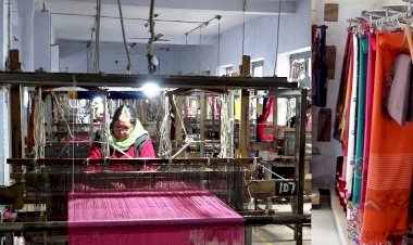 वैश्विक स्तर पर ख्याति प्राप्त कर रहे हैं हिमाचल हैंडलूम उत्पाद कारीगरों ने हुनर से संवारा अपना भविष्य