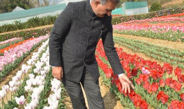 मुख्यमंत्री ने पालमपुर उपमण्डल में चंदपुर-सिंबलू सम्पर्क सड़क के उन्नयन कार्य का शिलान्यास किया