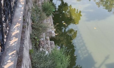 ऐतिहासिक पक्का टैंक परिसर में सफाई व्यवस्था पटरी से उतरी ......