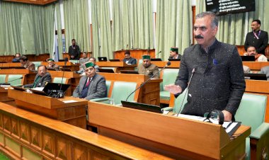 हमने यह कब कहा कि शुरू में ही देंगे 300 यूनिट मुफ्त बिजली, सीएम सुक्खू बोले, अभी करना पड़ेगा इंतजार