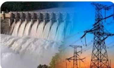 29 मार्च से 31 मार्च, 2023 तक खुले रहेंगे विद्युत मण्डल रिकांग पिओ के कैश काउंटर