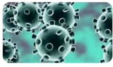 हिमाचल में कोरोना संक्रमण के  645 नए मामले आने से शासन-प्रशासन हैरत में