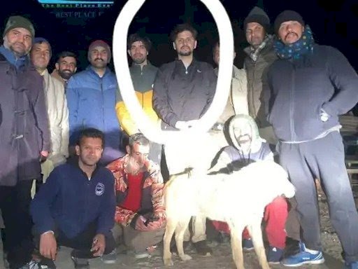 पांच घंटे के सर्च ऑपरेशन के बाद पुलिस ने सुरक्षित रेस्क्यू किये चूड़धार के जंगल में भटके देहरादून के पर्यटक