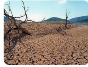 सूखे से निपटने के लिए विभाग ने बागवानों को दी आवश्यक सलाह