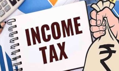 आयकर चुकाने के मामले में बुजुर्ग सबसे अव्वल...