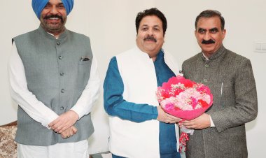 सुक्खू ने आज शिमला में राजीव शुक्ला से भेंट की