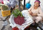 स्वाद व औषधीय गुणों से..... भरपूर  जंगली फल काफल...